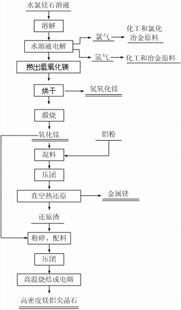 Method for preparing magnesium hydroxide, magnesium and magnesium aluminate spinel by bischofite