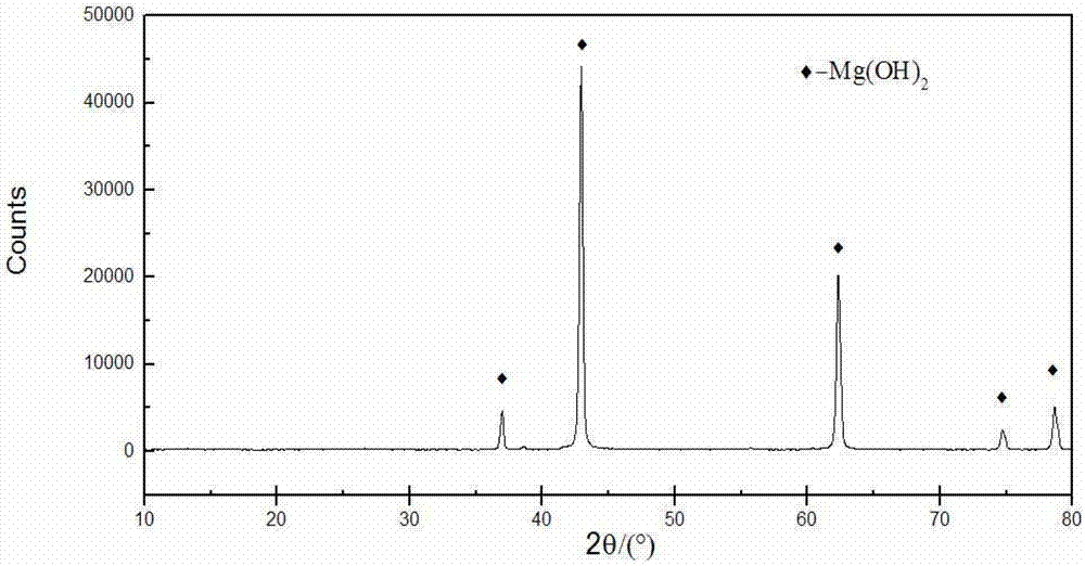 Method for preparing magnesium hydroxide, magnesium and magnesium aluminate spinel by bischofite