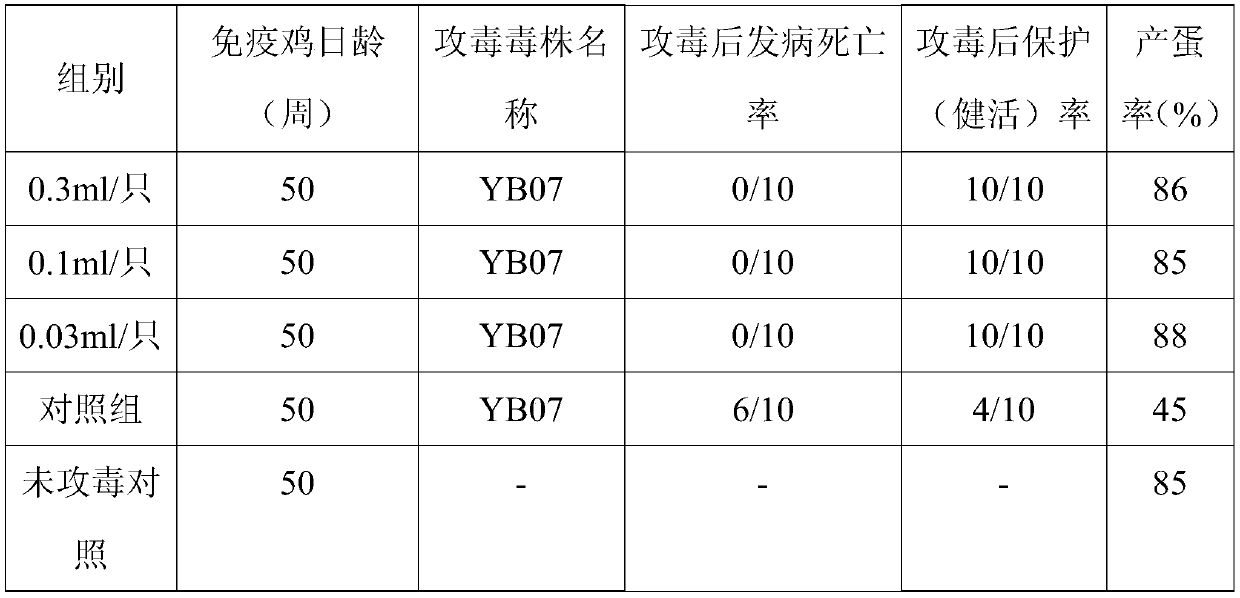 Hepatitis E virus ORF2 protein