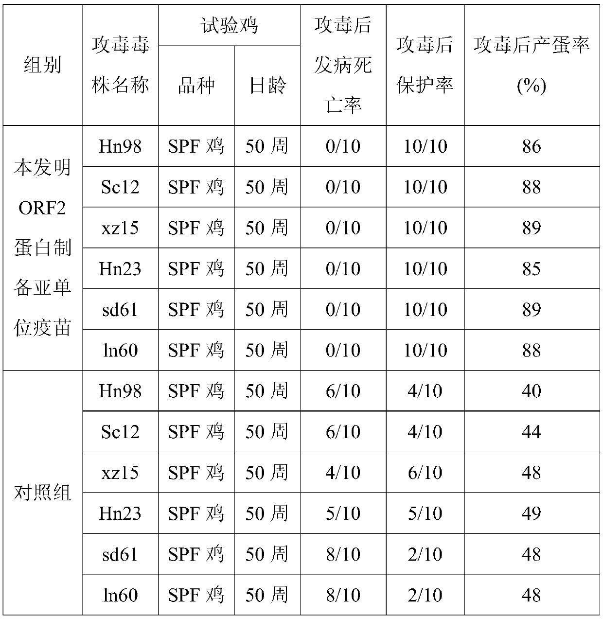 Hepatitis E virus ORF2 protein