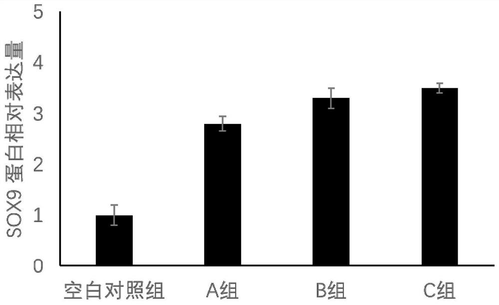 A kind of stem cell cryopreservation medium