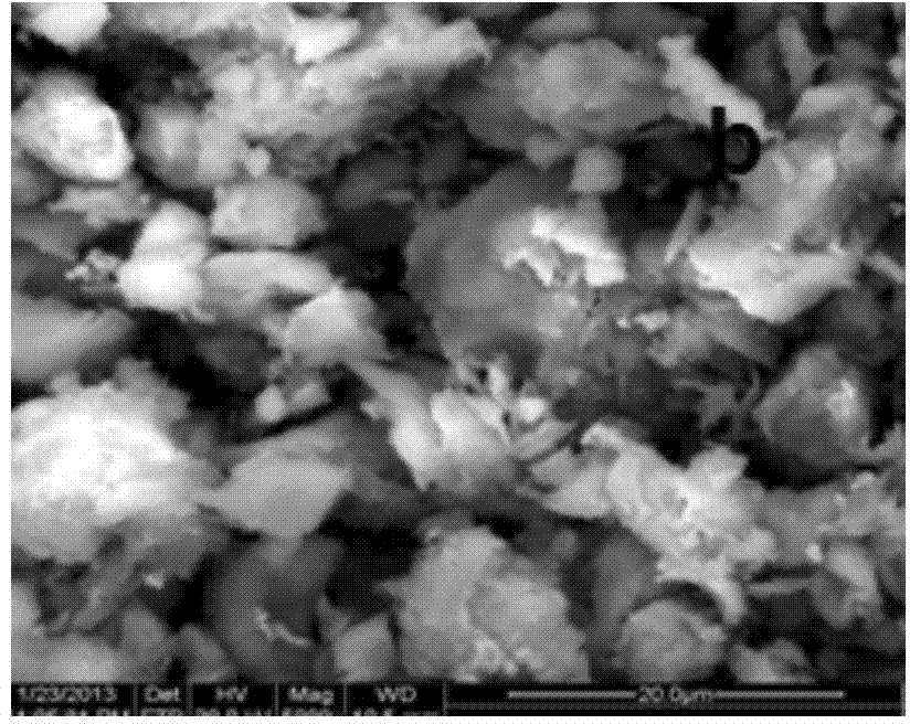 Montmorillonite-loaded nano Pd/Cu catalyst and in-situ one-pot preparation and application thereof