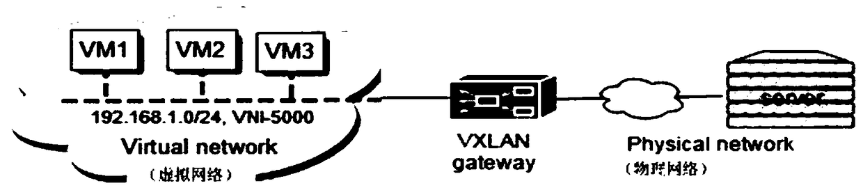 Virtualized network networking system and data packet sending method