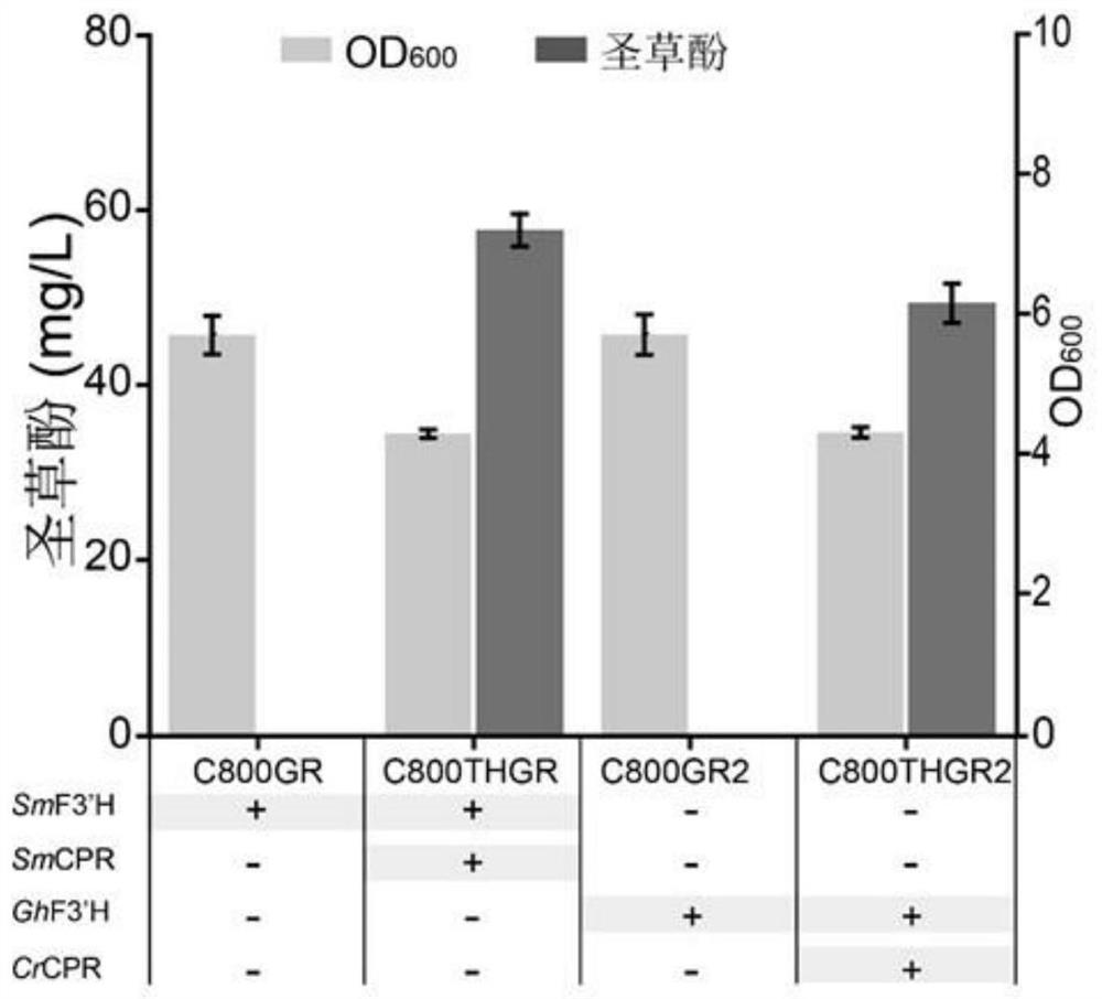 Application of flavone 3beta-hydroxylase from silybum marianum and coenzyme of flavone 3beta-hydroxylase