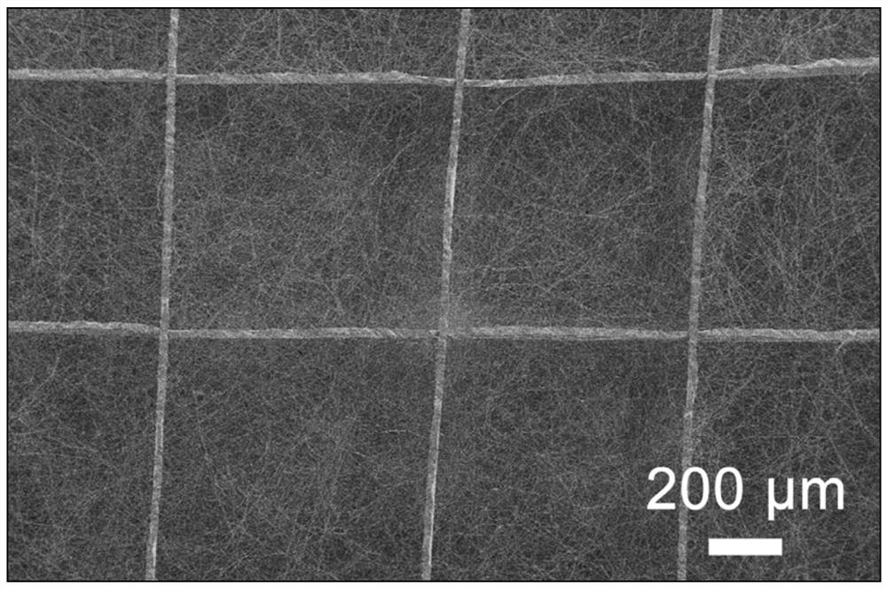 Preparation method of double-layer one-way moisture-conducting micro-nano fiber membrane based on near-field direct writing and solution electrospinning technology