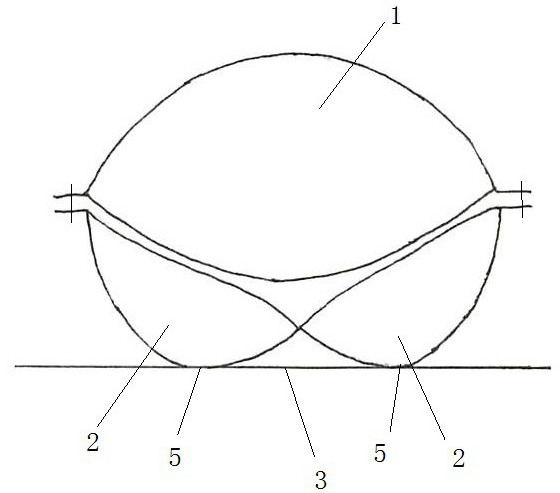 A supporting and shaping pillow and its production method