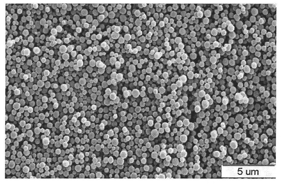 Method for preparing methyltestosterone molecularly-imprinted polymer