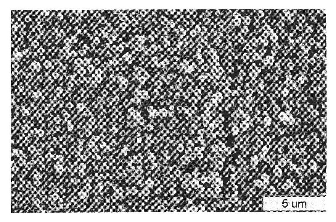 Method for preparing methyltestosterone molecularly-imprinted polymer