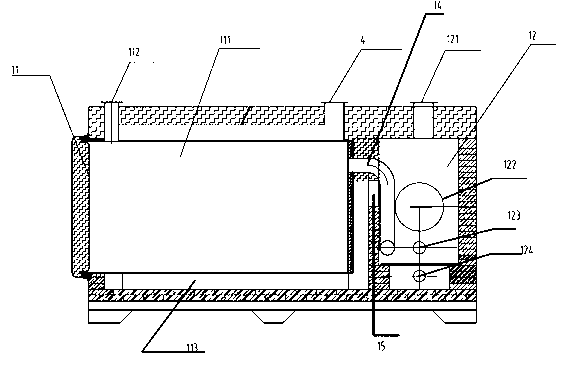 Carbonization treatment process and device thereof of animals died of illness