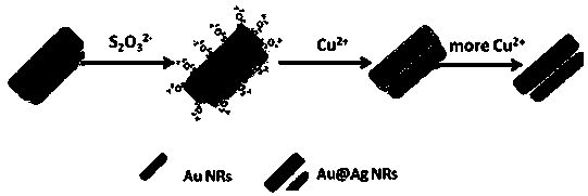 Preparation method of silver-coated gold nanorod colorimetric probe and method for detecting copper ions