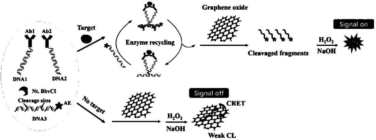 Quantitative kit for detecting dog IL-6 by adopting homogeneous chemiluminescent immunoassay and use method thereof