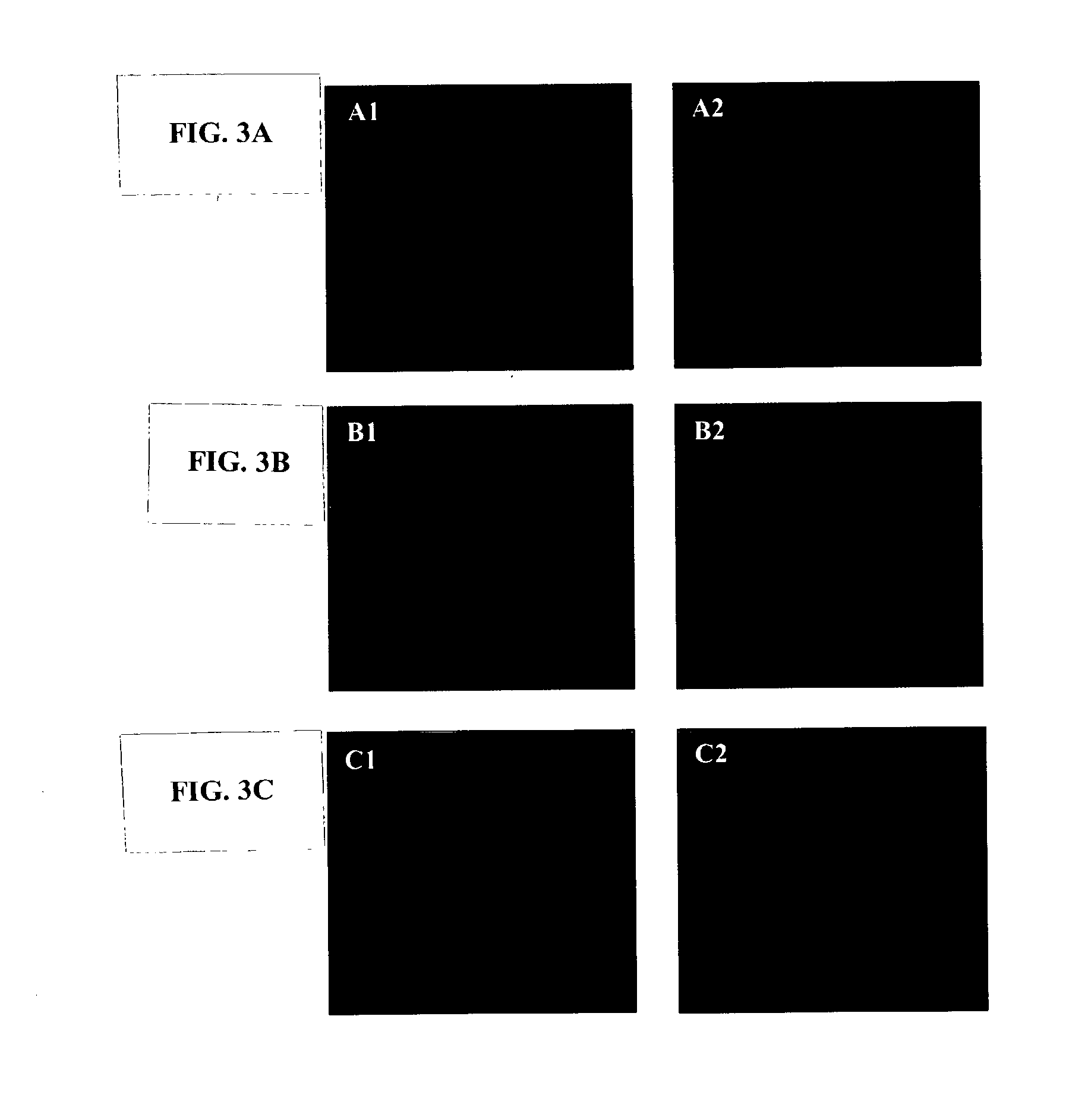 Nuclear transfer embryo formation method