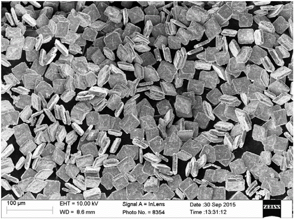 Method for preparing micron-scale SnO square flakes