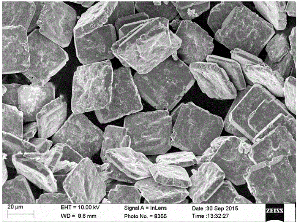 Method for preparing micron-scale SnO square flakes