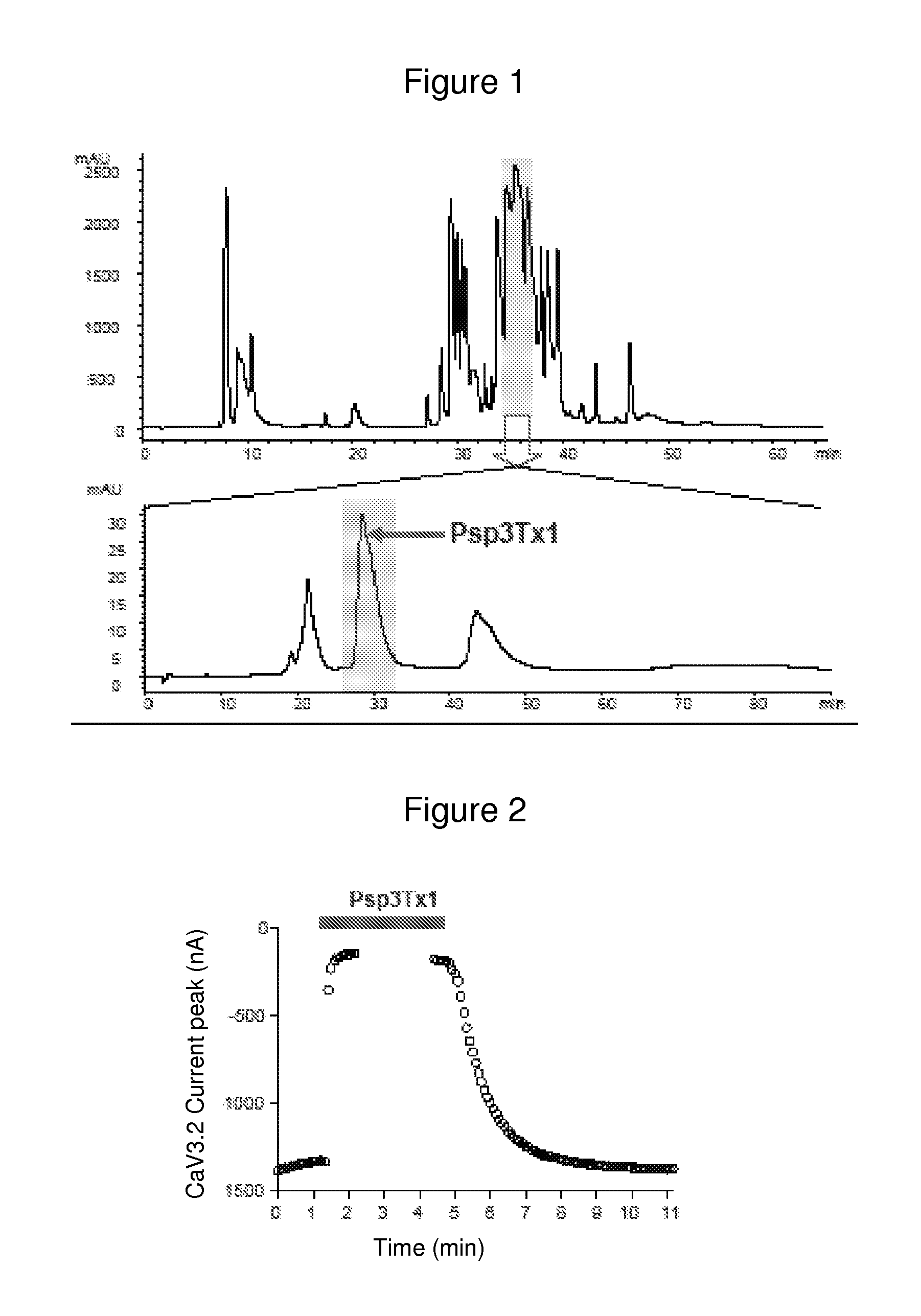 Identification of novel antagonist toxins of t-type calcium channel for analgesic purposes