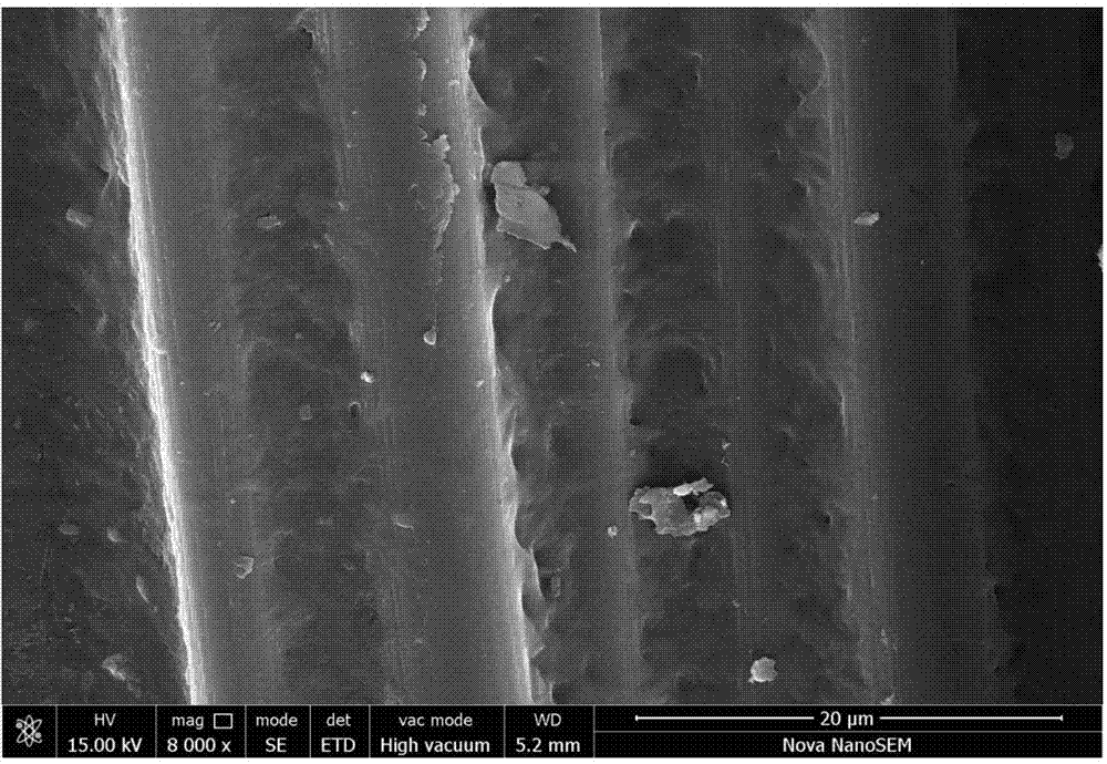 Preparation method for carbon fibre fabric-reinforced polyetheretherketone polymer composite material