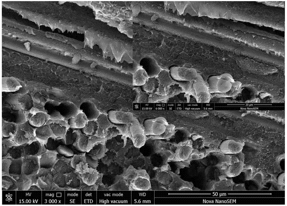 Preparation method for carbon fibre fabric-reinforced polyetheretherketone polymer composite material