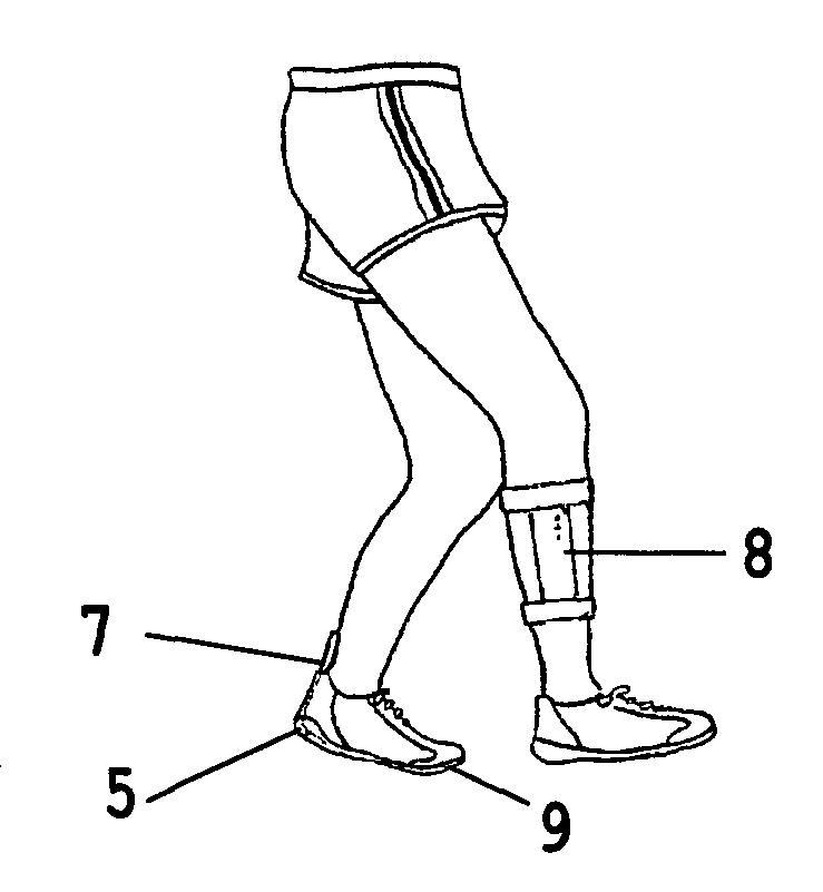 System for electrical stimulation of nerves