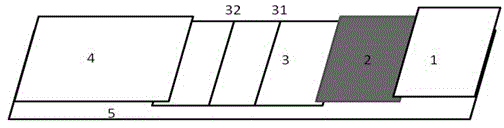 Canine parvovirus colloidal gold immunochromatography test strip and preparation method