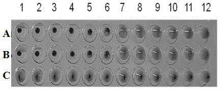 Canine parvovirus colloidal gold immunochromatography test strip and preparation method