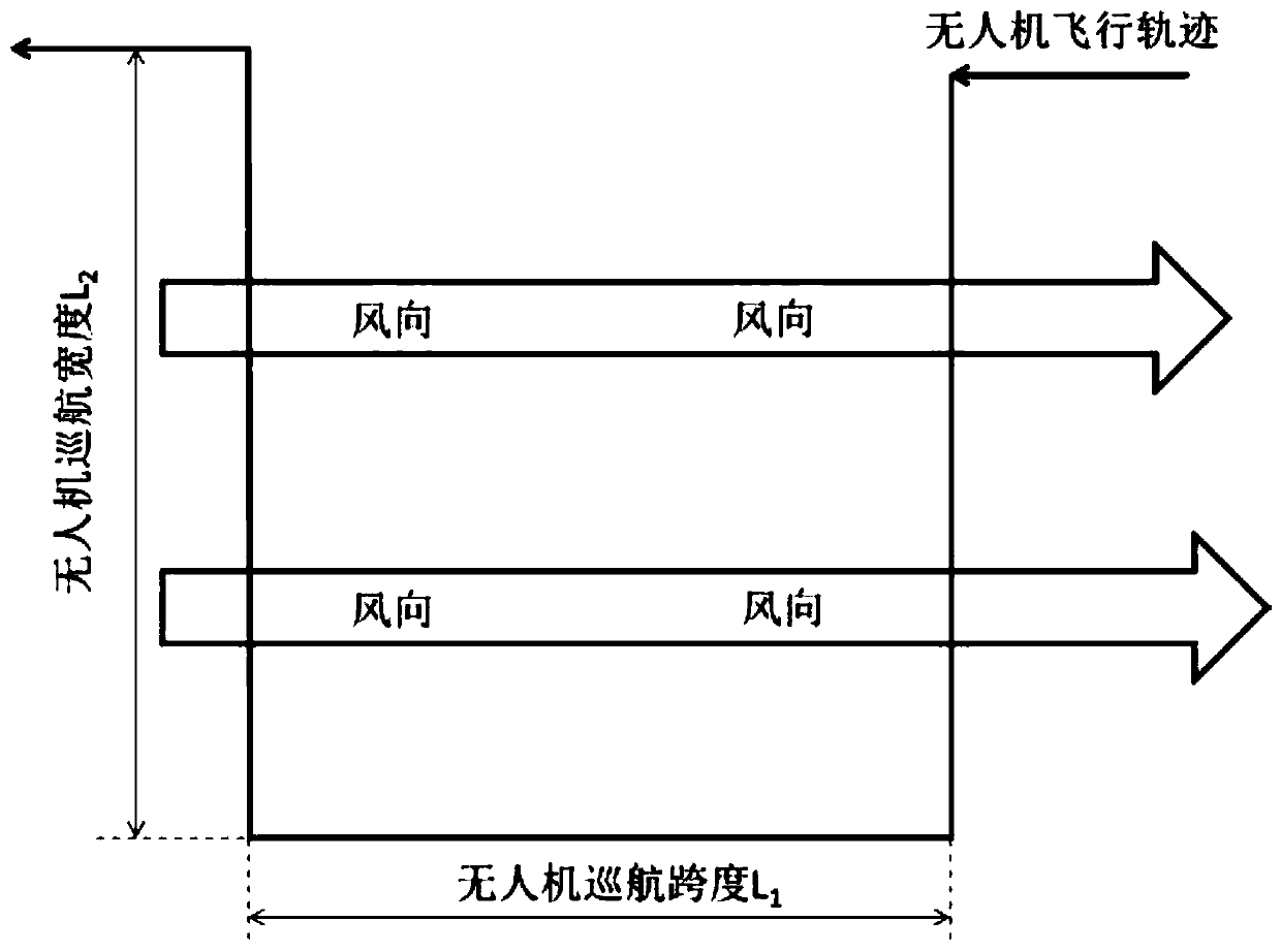 UAV (Unmanned Aerial Vehicle) search system and method