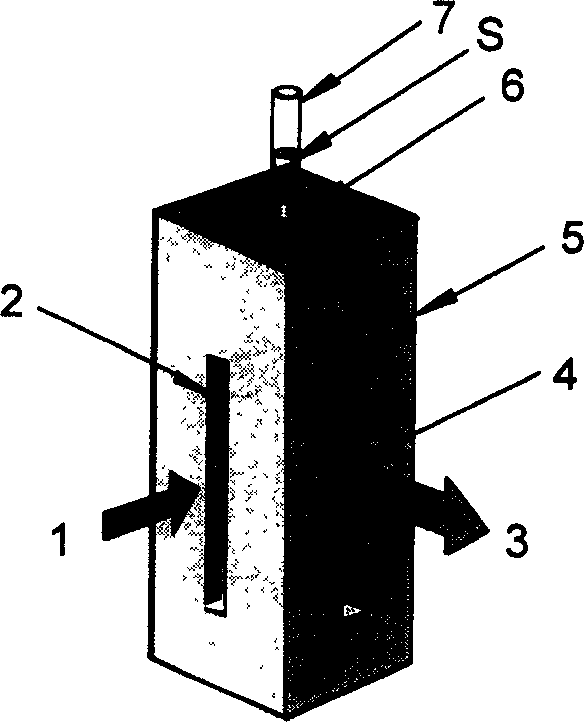 Fluorescent capillary reaction apparatus and fluorescent capillary analytical method