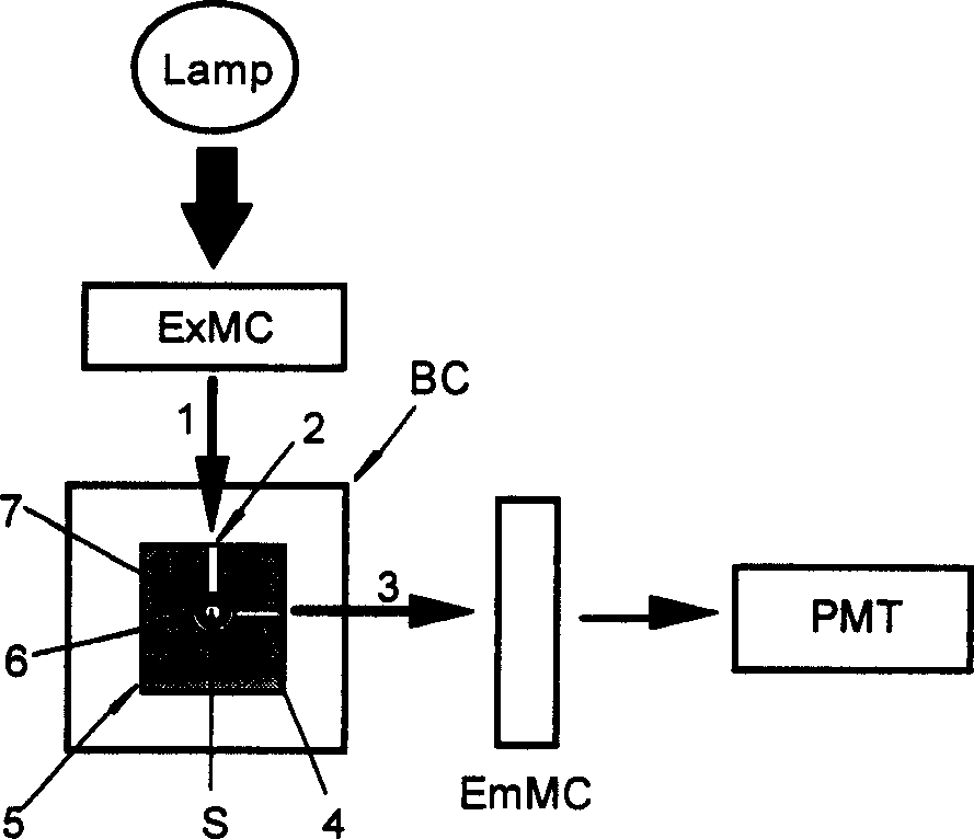 Fluorescent capillary reaction apparatus and fluorescent capillary analytical method