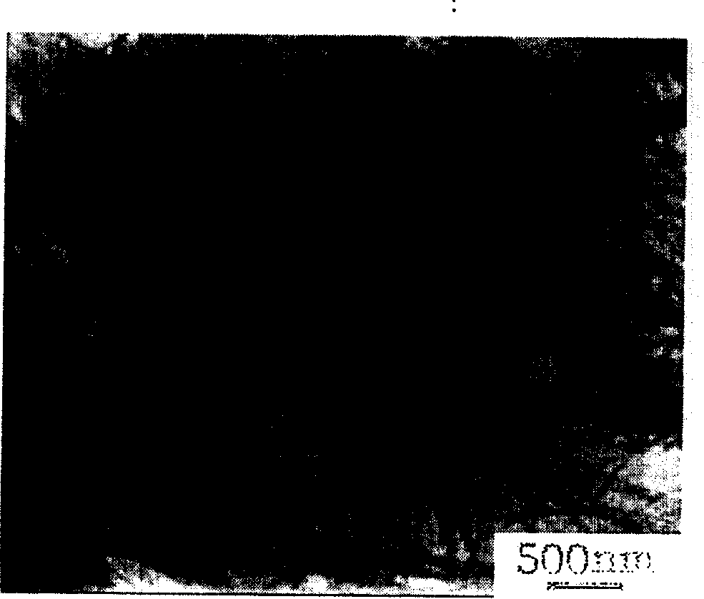 Method for preparing nano-tubular sodium titanate/titanci acid