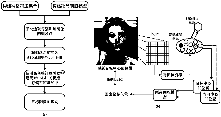 Bionic visual image target recognition method fusing dot-line memory information