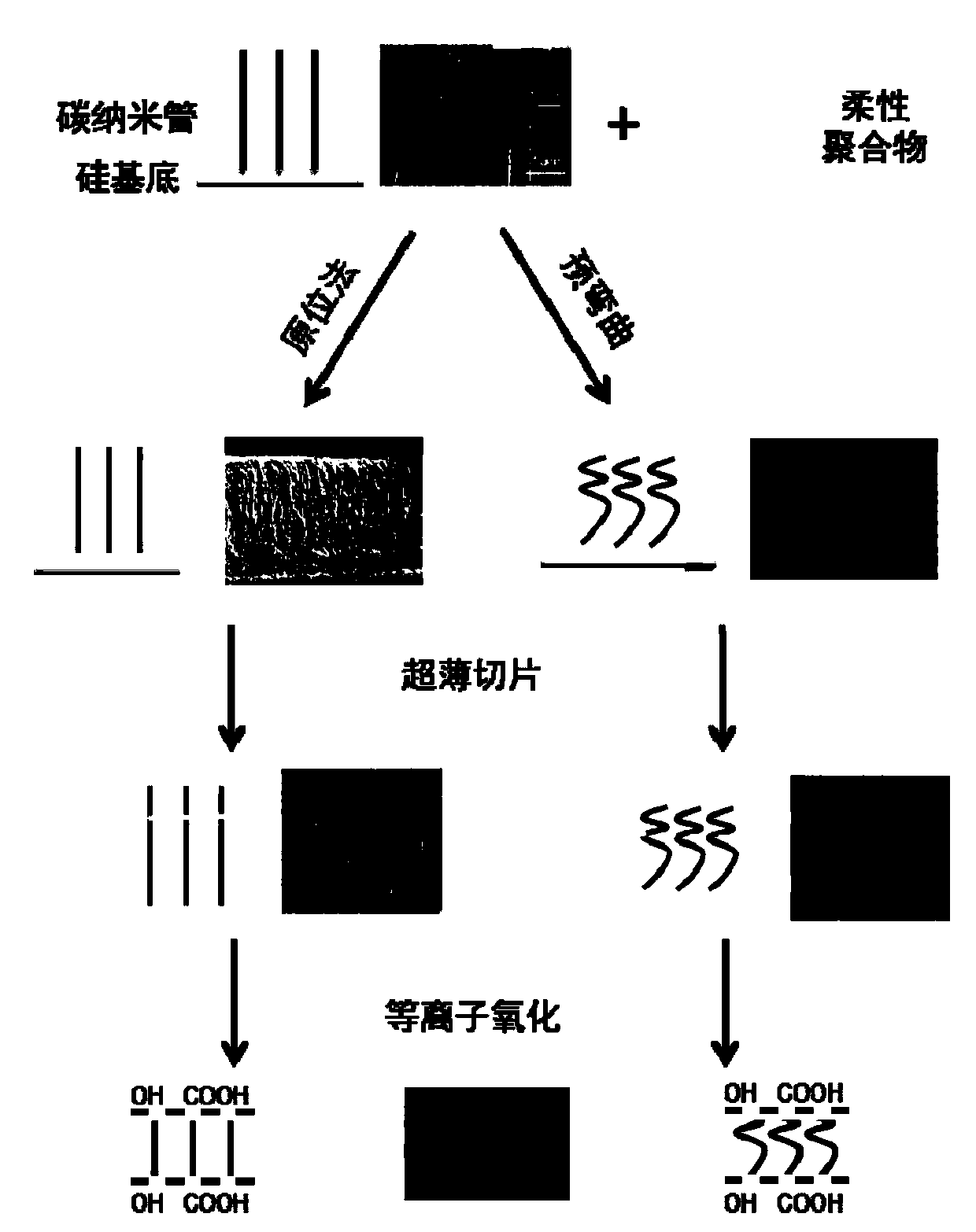 Dynamic nanochannel and preparing and testing methods thereof