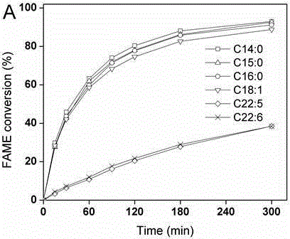 Method for esterification separation of by-product diesel oil of polyunsaturated fatty acid through selective fatty acid