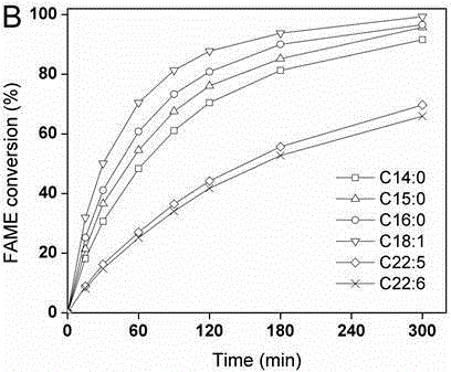 Method for esterification separation of by-product diesel oil of polyunsaturated fatty acid through selective fatty acid