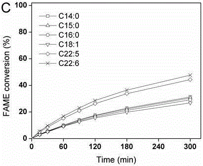 Method for esterification separation of by-product diesel oil of polyunsaturated fatty acid through selective fatty acid