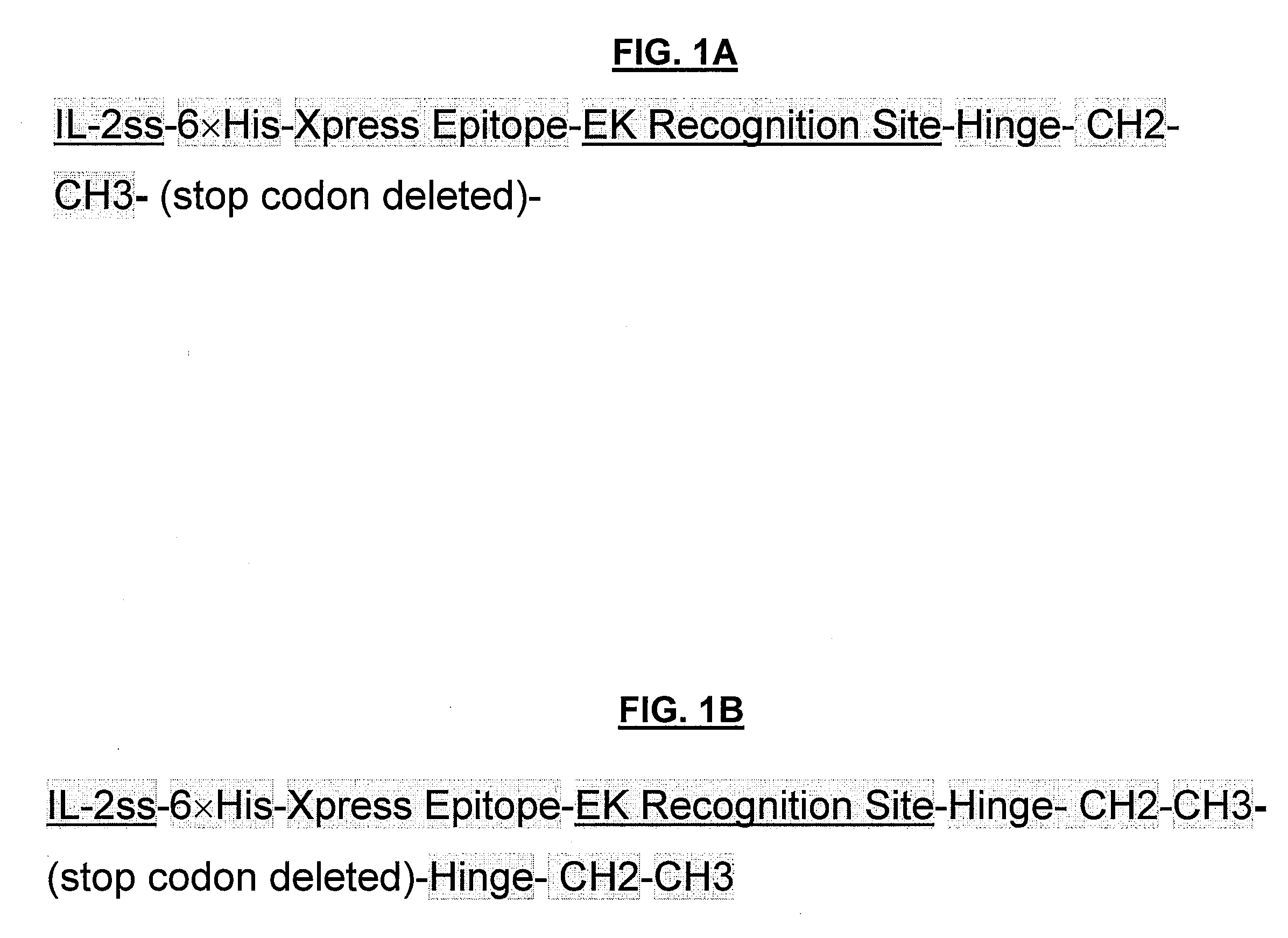 POLYPEPTIDES COMPRISING Fc FRAGMENTS OF IMMUNOGLOBULIN G (IgG) AND METHODS OF USING THE SAME