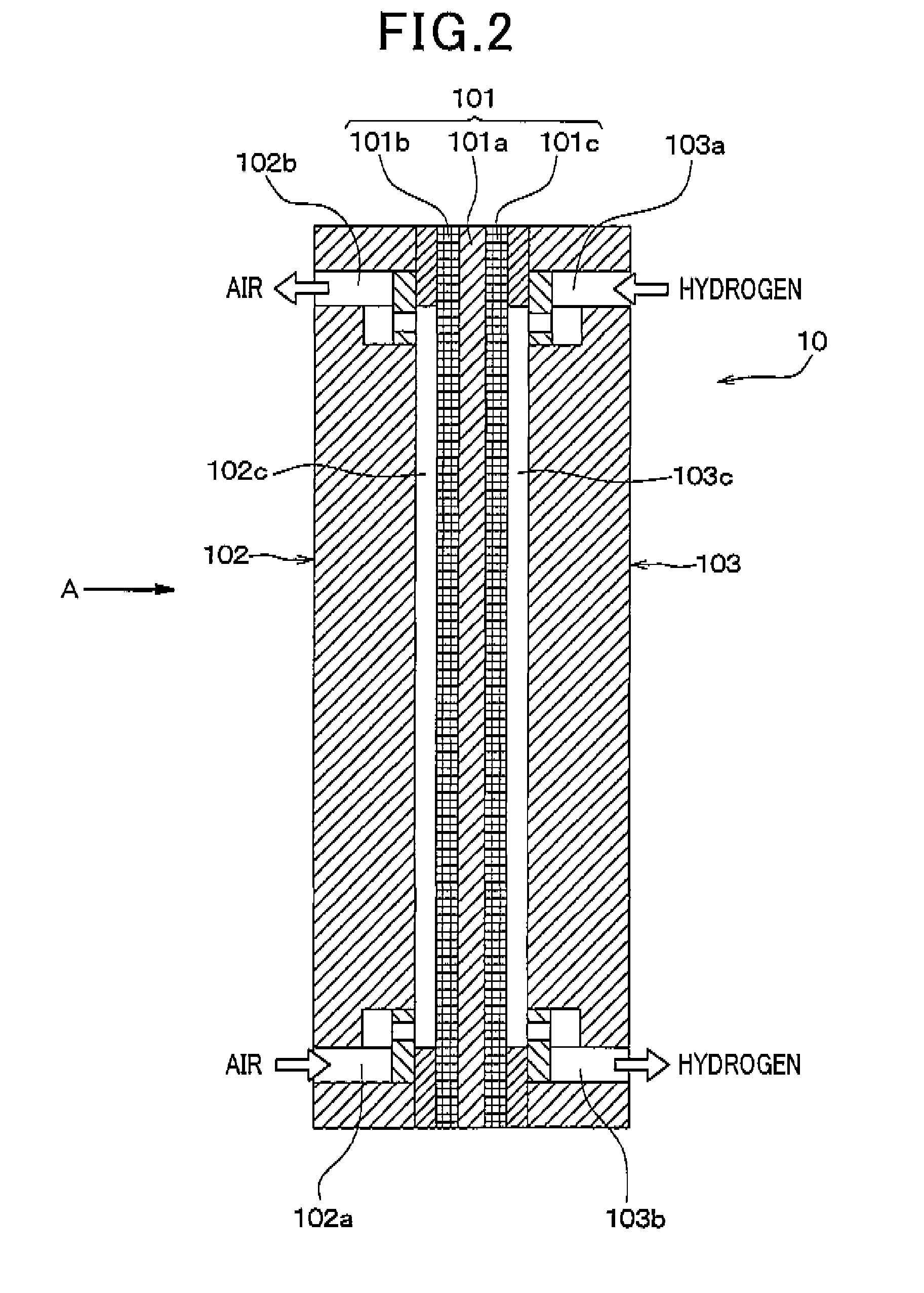 Fuel cell system capable of performing gas purge to adjust amount of water therein