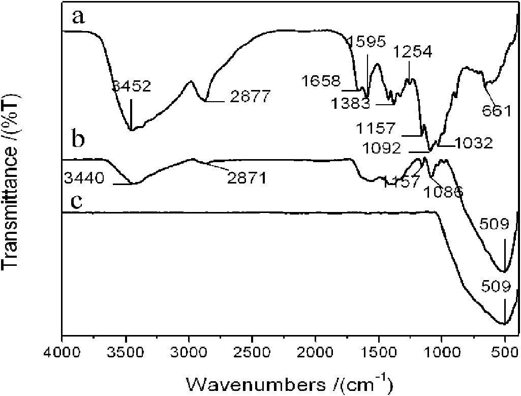 Composite film with photocatalytic oxidability and preparation method thereof