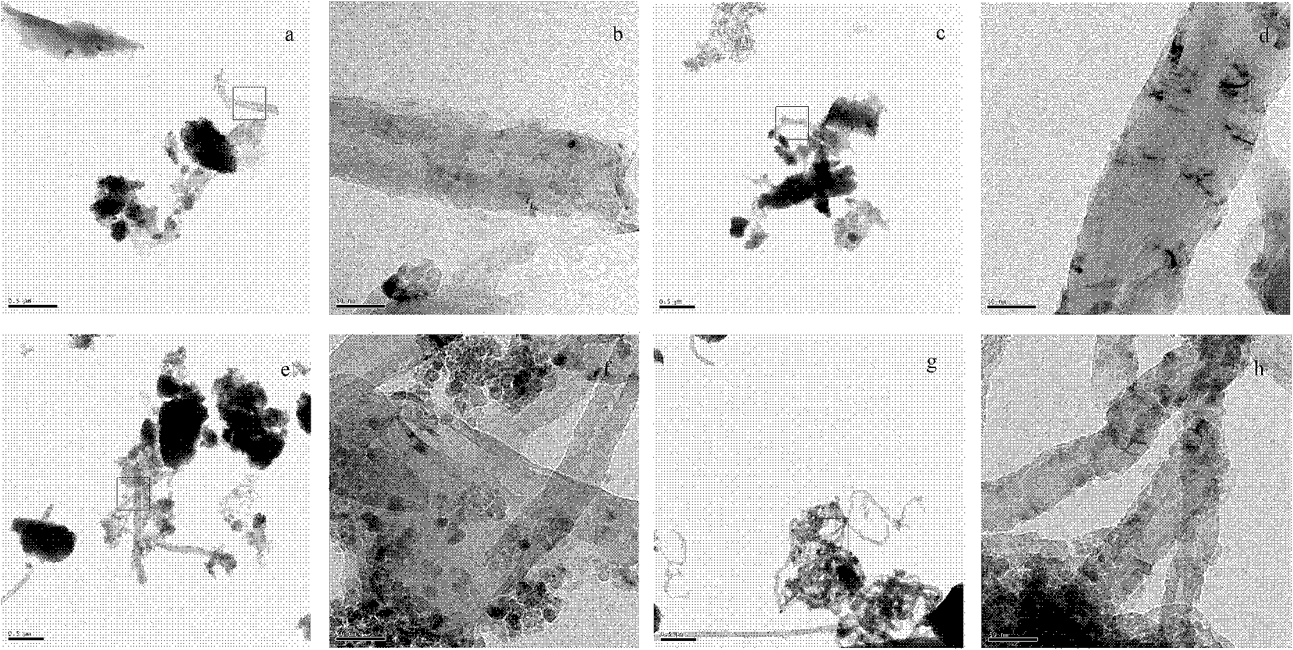 Composite film with photocatalytic oxidability and preparation method thereof