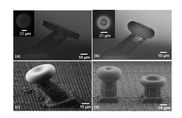 Method for fabricating three-dimensional optical echo wall mode micro-cavity by using femtosecond laser