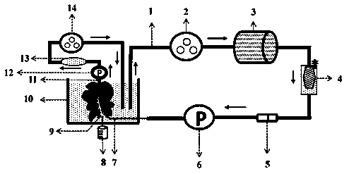 A liver oxygen-carrying mechanical perfusion device