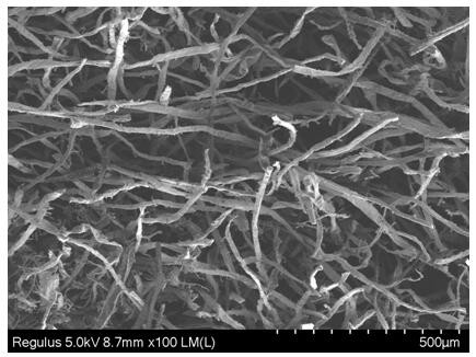 Preparation and application of plant fiber-based reinforced carbon fiber network