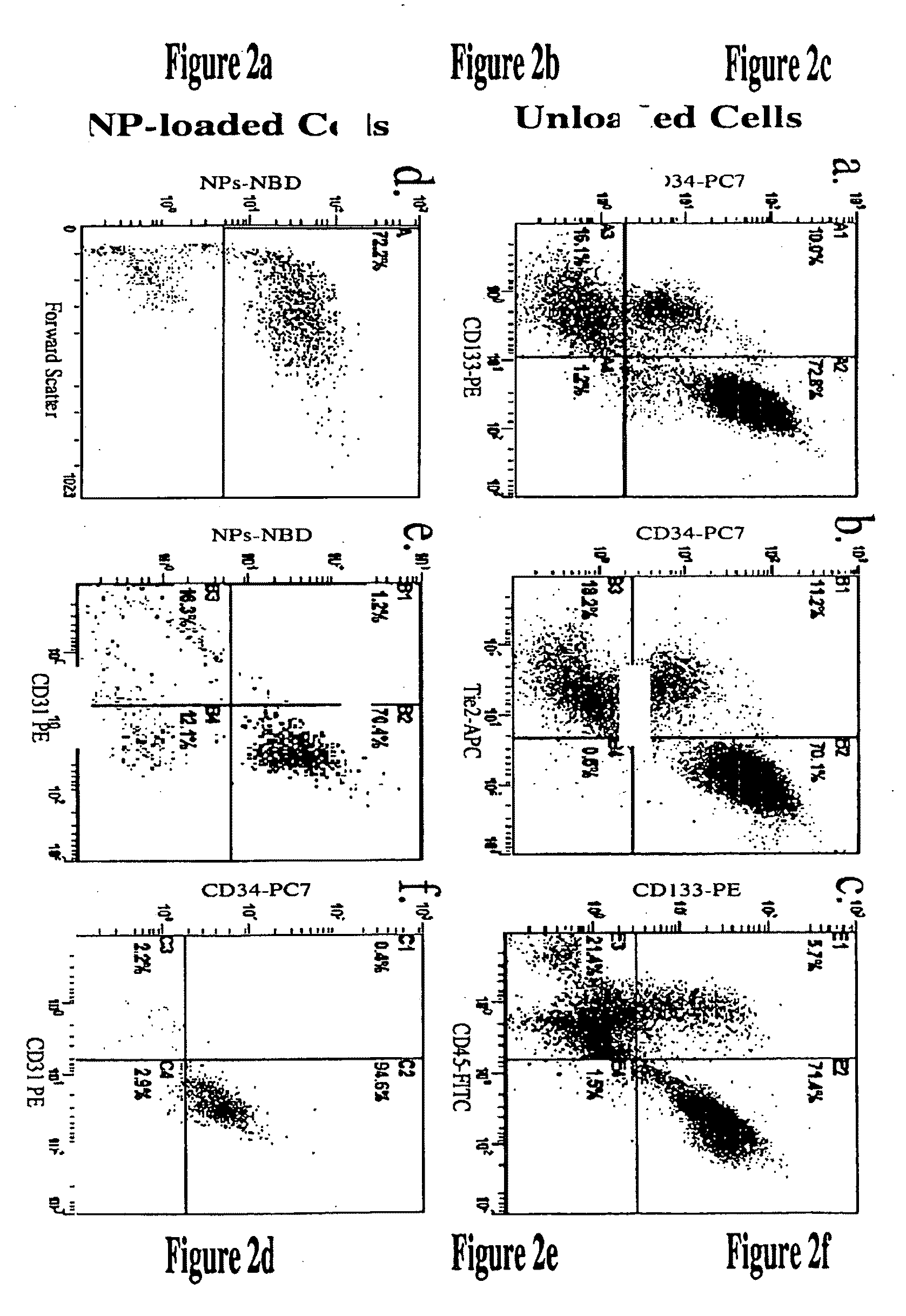 Cell labeling with perfluorocarbon nanoparticles for magnetic resonance imaging and spectroscopy