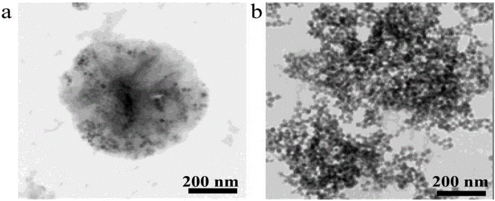 Preparation method of prussian blue cube / molybdenum disulfide nano composite material