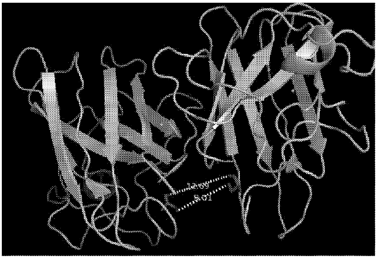 Cross-Linking of Superoxide Dismutase Monomers