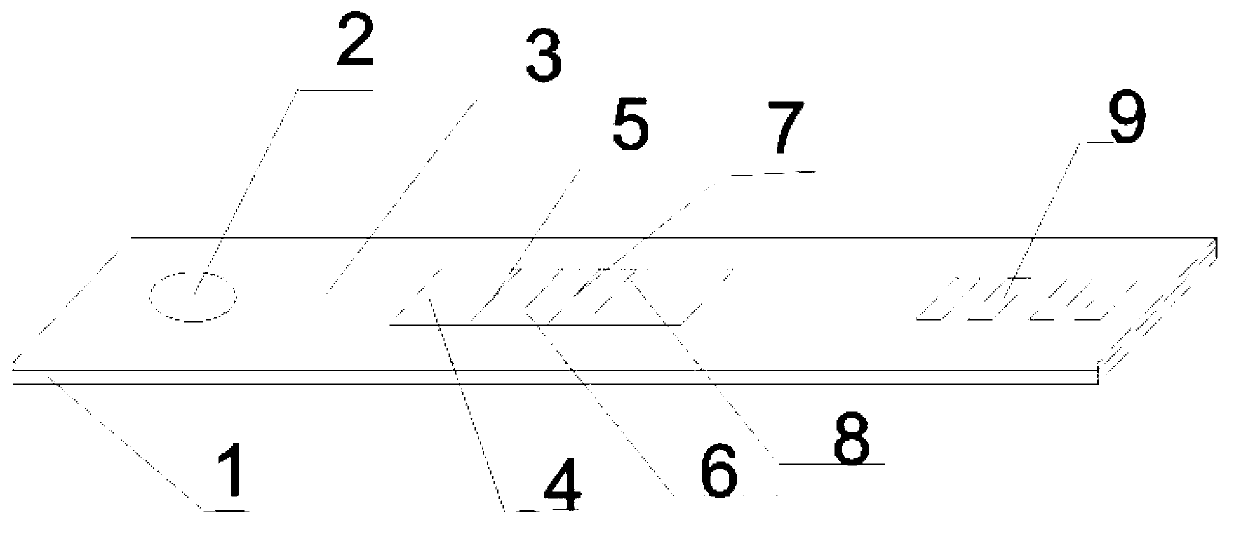 Fluorescence immunochromatography flu virus detection test paper