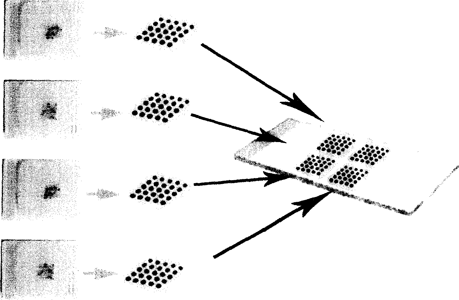 Large capacity tissue array making method