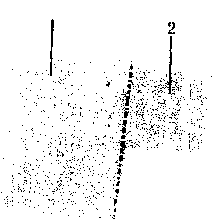 Large capacity tissue array making method