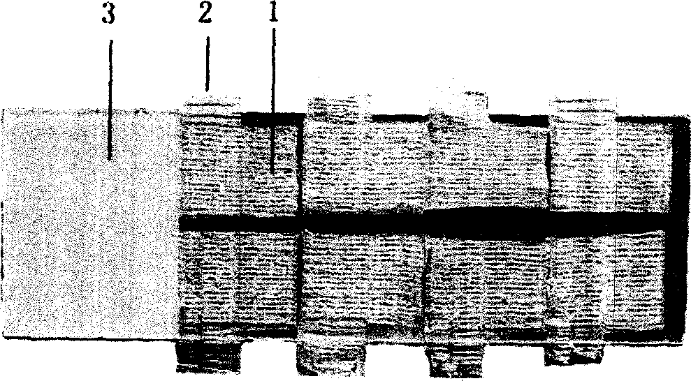 Large capacity tissue array making method