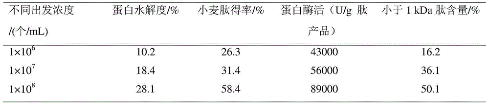 Method for preparing wheat active peptide from mixed bacterium solid state fermentation gluten powder