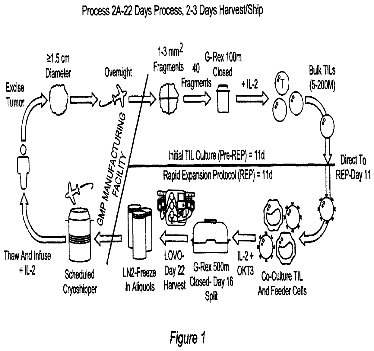 Closed process for expansion and gene editing of tumor infiltrating lymphocytes and uses of same in immunotherapy