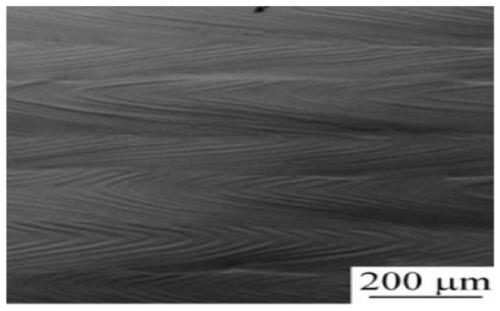 Maraging steel based on SLM (Selective Laser Melting) molded part and preparation method thereof